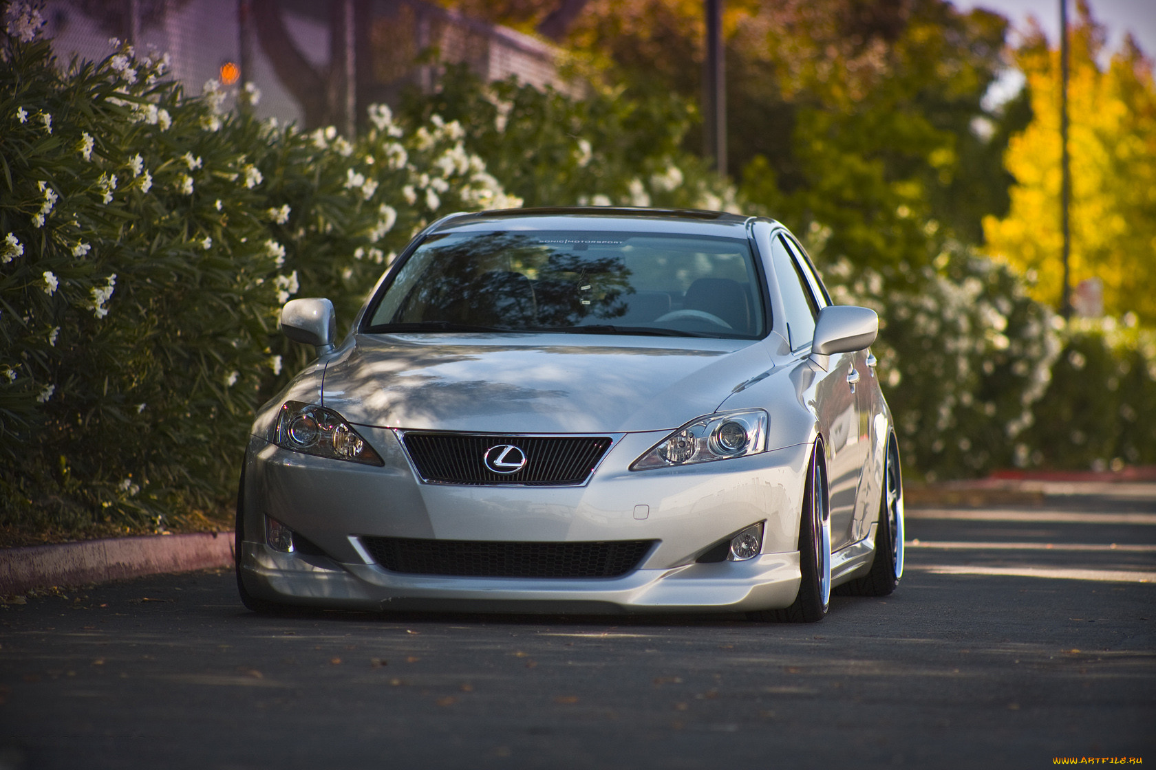, lexus